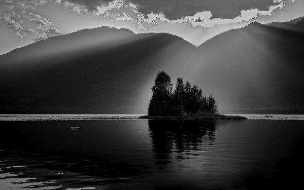 Light down upon by Robert R  Grove